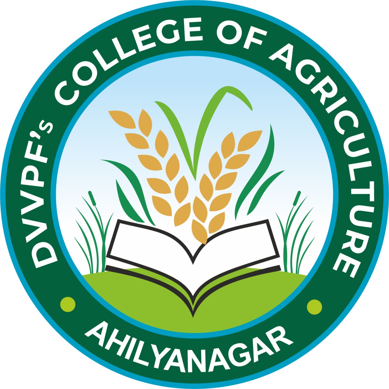 College Logo